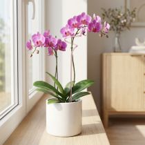 Artikel Rankhilfe Blumenstab Orchideenstab Pink Twister 38cm