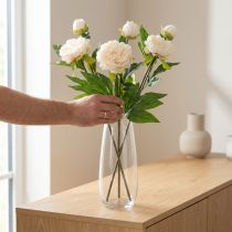 Artikel Lange künstliche Pfingstrosen Creme 70cm 3St für elegante Dekorationen