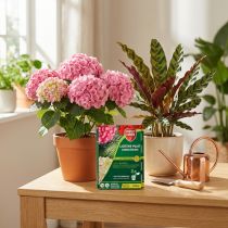 Artikel Protect Garden Lizetan Plus Combistäbchen 40St