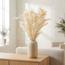 Artikel Ruscus getrocknet 200g gebleicht – 2. Wahl, 80cm