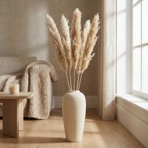 Artikel Trockendeko Pampasgras getrocknet gebleicht 70-75cm 6 St