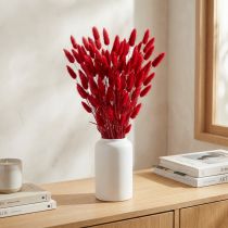 Artikel Hasenschwanzgras Lagurus Getrocknet Rot 60cm 50g Trockenblumen Deko