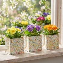 Artikel Geschenktüte Pflanztasche Präsentbeutel Gemustert 12cm 8 St