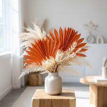 Artikel Palmspear Sun Orange 30 St