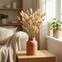 Artikel Lagurus ovatus Trockenblumen Lampenputzergras Samtgras Deko Hellbraun 20-50cm 25g
