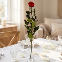 Artikel Infinity Rose mit Blättern Konserviert Amorosa Rot L54cm