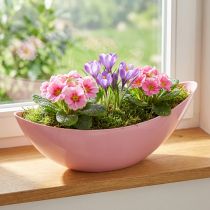 Artikel Pflanzschiffchen Blumenschale Rosa Kunststoff 28x9x9cm 3er Set - Elegante Deko für Floristen