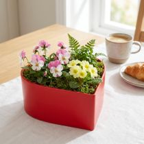 Artikel Romantische Herz-Pflanzschale Rot 15x15x7cm 3er Set Dekoration