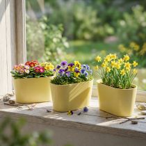 Artikel Pflanzschale oval Gelb Kunststoff 20×10×11cm 3er Set ideal für Floristen