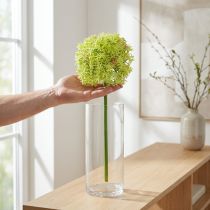 Artikel Allium grüne Blüte 18cm Zierlauch künstliche Dekoration flexibel