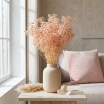 Artikel Schleierkraut Deko Orange Trockengräser Peach 65-70cm 100g - Natürliche Eleganz für Floristen