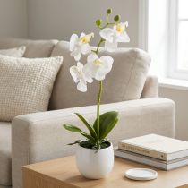Artikel Weiße Orchidee Kunstblumen im Keramiktopf, pflegeleichte Dekoration, Höhe 33cm