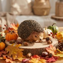 Artikel Igel Dekofigur Herbst Handbemalt Braun Polyresin 14×9,5×9cm