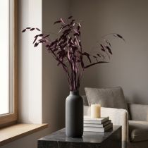 Artikel Plattährengras Chasmantium Lila 70cm 10 St - Trockengras für florale Dekoration