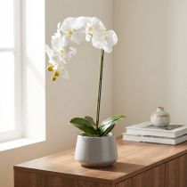 Artikel Elegante Kunstpflanze Orchidee Weiß im Topf 62cm – Realistische Dekoration für Büro und Wohnzimmer