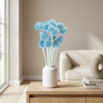 Artikel Craspedia Trockenblumen 55cm Deko für Vase Innenbereich 20 Stück