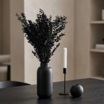 Artikel Ruscus Zweige 65–75 cm Schwarz, getrocknet, 200 g