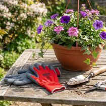 Artikel Kixx Nylon Gartenhandschuhe Gr.8 Rot, Grau