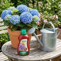 Artikel Chrysal Azaleen & Hortensiendünger 500ml