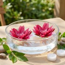 Künstliche Seerose Fuchsia Ø15cm 2St Tischdekoration