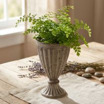 Artikel Deko Pokal Übertopf Antik Look Grau Braun Ø13cm H19cm - Vintage Charme für Pflanzen