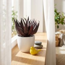 Artikel Kunstpflanze Aloe Vera im Topf Dekopflanze Grün H20cm