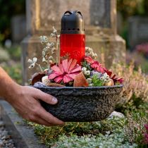 Artikel Oasis Black Biolit Pflanzschale Blumenschale Schwarz Ø26cm