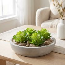 Artikel Künstliche Sukkulente Grün, 10 cm Höhe, Set aus 4 Stück, Dekoration für Schale oder Vase