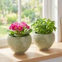 Artikel Keramik Deko-Übertopf Grün Ø15cm H11cm 2er Set - Tischdekoration