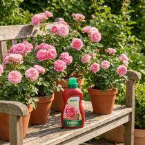 Artikel Chrysal Rosendünger (500ml)