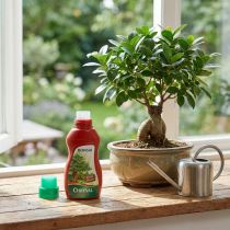 Artikel Chrysal Bonsai Bonsaidünger 250ml