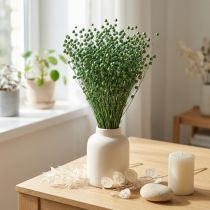 Artikel Trockengras Getrockneter Flachs Grün 50–55cm Deko DIY