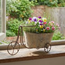 Artikel Pflanzfahrrad Blumentopf Dekoration Rost Grau 34x16x18cm