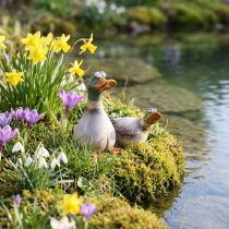 Artikel Enten Deko Keramik Frühling Erpel Braun Grün 15cm 2 St
