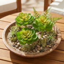 Artikel Echeveria Künstliche Sukkulenten Grün 7cm 6er-Set für Dekoration und Floristik