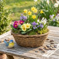 Artikel Blumenschale Natur Dekoschale Reben 31cm rustikal, Pflanzgefäß
