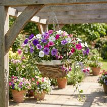 Artikel Pflanzschale, Blumenampel, Korb zum Hängen Natur, Weiß Ø35cm