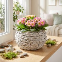 Artikel Pflanzkorb Weiß Gewaschen Rund Ø22cm H13cm Blumentopf Übertopf Dekoration