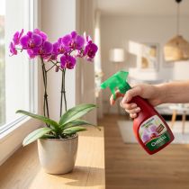 Artikel Chrysal Orchideen Vital Spray Sprühlösung 500ml