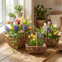 Artikel Henkelkorb rechteckig Natur 34×26/29×20/24×15cm 3er-Set