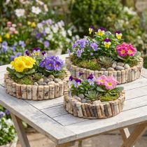 Artikel Rundes Tablett zum Bepflanzen Birke Natur Ø23/31/41cm 3er-Set