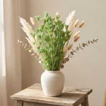 Artikel Zauberhafte Trockenblumen Schwarzkümmel Nigella Salbeigrün 50cm 100g für Floristik