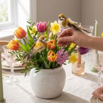 Artikel Vogeldekoration Gelb mit Drahtstecker 10 cm - 12er Set zur Tisch- und Blumendekoration