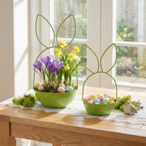 Artikel Pflanzschale Hase 33cm Grün Metall Osterdeko Frühling Dekoration