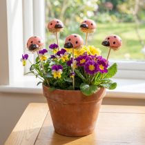 Artikel Marienkäfer Deko Blumenstecker Holz Farbig 3,5cm 24 St für Floristen