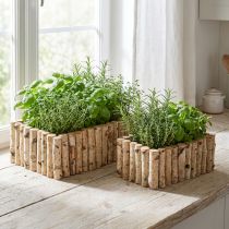 Artikel Pflanzkasten Holz Kräuterkasten Birke L23/28cm 2er-Set