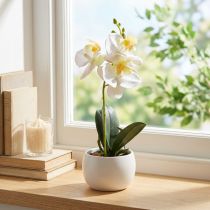 Artikel Künstliche Orchideen im Topf Weiß Ø7cm H22cm für stilvolle Dekoration