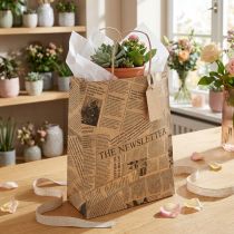 Artikel Papiertragetaschen Papiertaschen Geschenktaschen 18x9cm Zeitung 50St