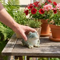 Artikel Keramikfigur Frosch 12cm Dekoration für Wohnung und Balkon