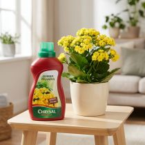Artikel Chrysal Zimmerpflanzendünger 500ml